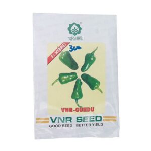 Chilli seed
