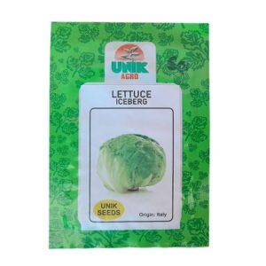 Lettuce Iceberg